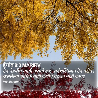 ईयोब 8:3 MARIRV Bible Verse Image