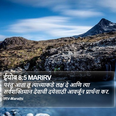ईयोब 8:5 MARIRV Bible Verse Image