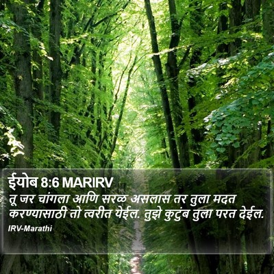 ईयोब 8:6 MARIRV Bible Verse Image