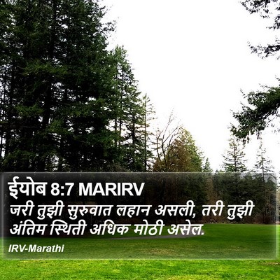 ईयोब 8:7 MARIRV Bible Verse Image