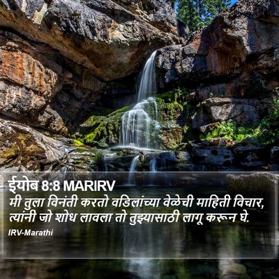 ईयोब 8:8 MARIRV Bible Verse Image