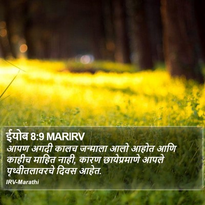 ईयोब 8:9 MARIRV Bible Verse Image