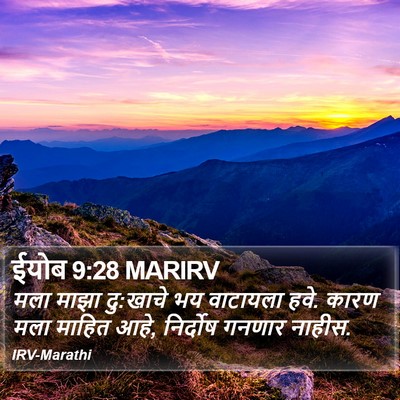 ईयोब 9:28 MARIRV Bible Verse Image
