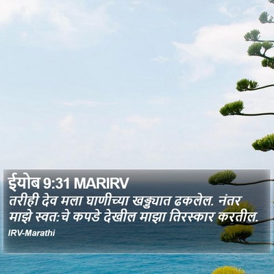 ईयोब 9:31 MARIRV Bible Verse Image