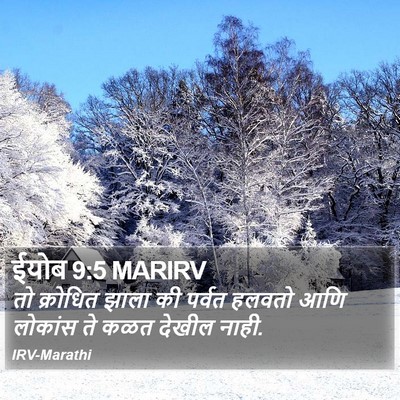 ईयोब 9:5 MARIRV Bible Verse Image