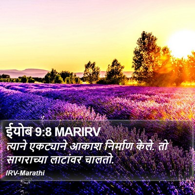 ईयोब 9:8 MARIRV Bible Verse Image