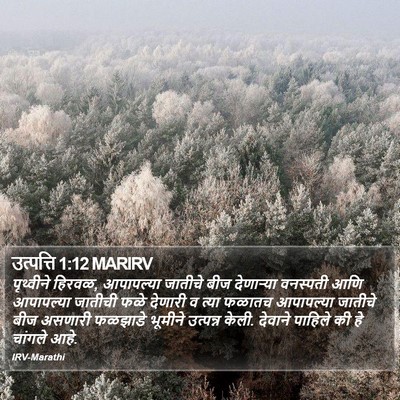 उत्पत्ति 1:12 MARIRV Bible Verse Image