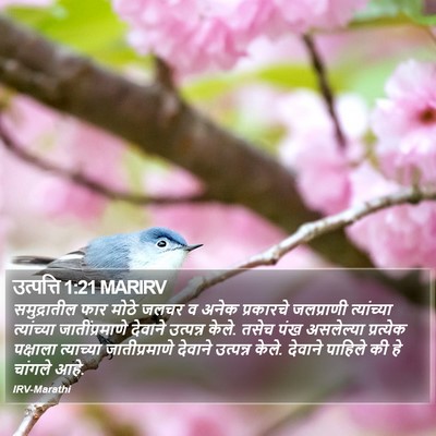उत्पत्ति 1:21 MARIRV Bible Verse Image