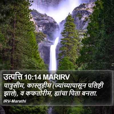 उत्पत्ति 10:14 MARIRV Bible Verse Image