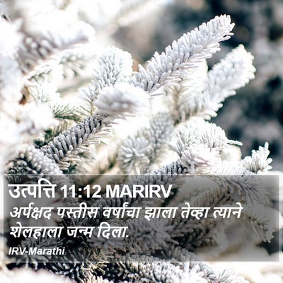उत्पत्ति 11:12 MARIRV Bible Verse Image