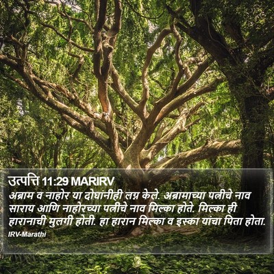 उत्पत्ति 11:29 MARIRV Bible Verse Image