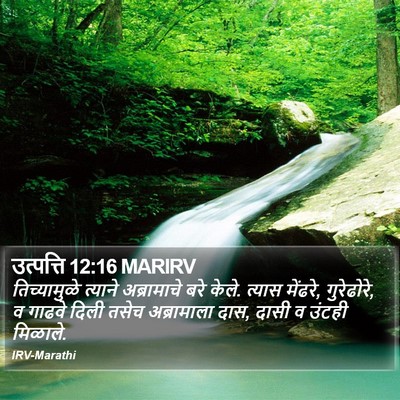 उत्पत्ति 12:16 MARIRV Bible Verse Image