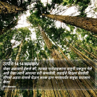 उत्पत्ति 14:14 MARIRV Bible Verse Image