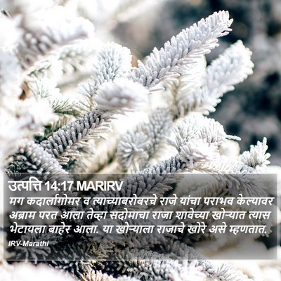 उत्पत्ति 14:17 MARIRV Bible Verse Image