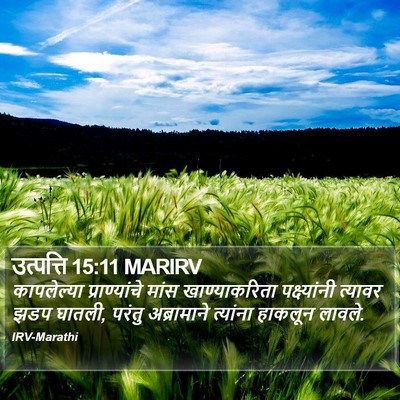 उत्पत्ति 15:11 MARIRV Bible Verse Image