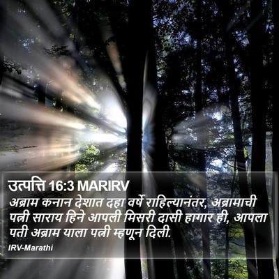 उत्पत्ति 16:3 MARIRV Bible Verse Image
