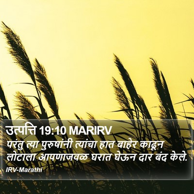 उत्पत्ति 19:10 MARIRV Bible Verse Image