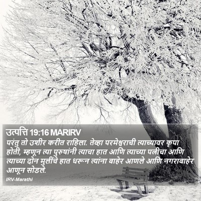 उत्पत्ति 19:16 MARIRV Bible Verse Image