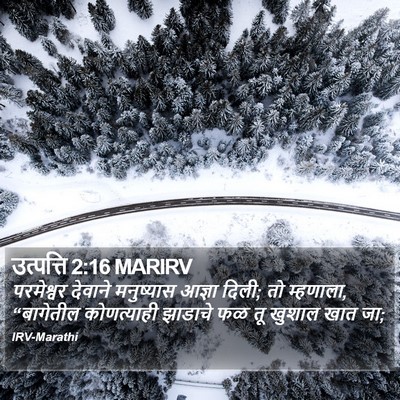 उत्पत्ति 2:16 MARIRV Bible Verse Image