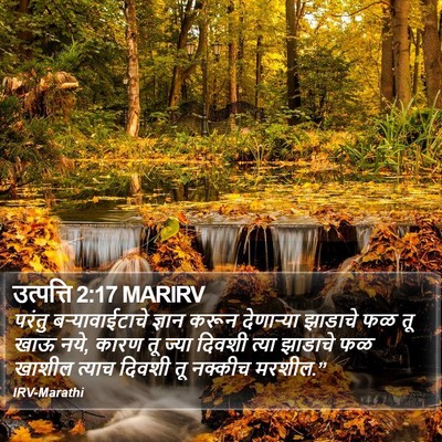 उत्पत्ति 2:17 MARIRV Bible Verse Image