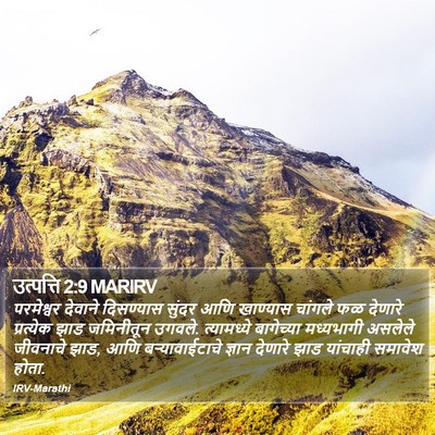 उत्पत्ति 2:9 MARIRV Bible Verse Image