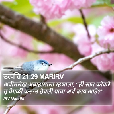 उत्पत्ति 21:29 MARIRV Bible Verse Image