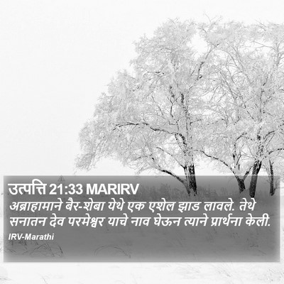 उत्पत्ति 21:33 MARIRV Bible Verse Image