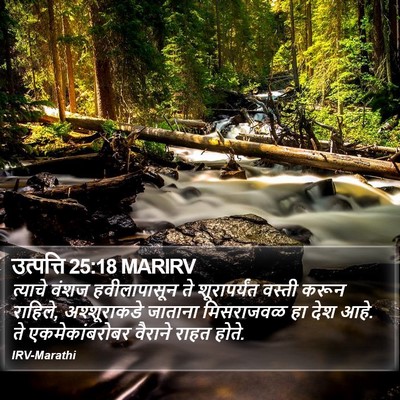 उत्पत्ति 25:18 MARIRV Bible Verse Image