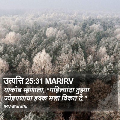 उत्पत्ति 25:31 MARIRV Bible Verse Image