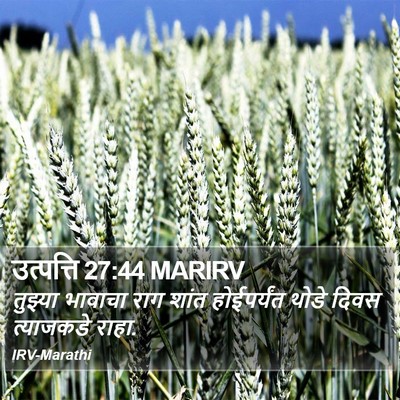 उत्पत्ति 27:44 MARIRV Bible Verse Image