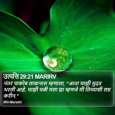 उत्पत्ति 29:21 MARIRV Bible Verse Image