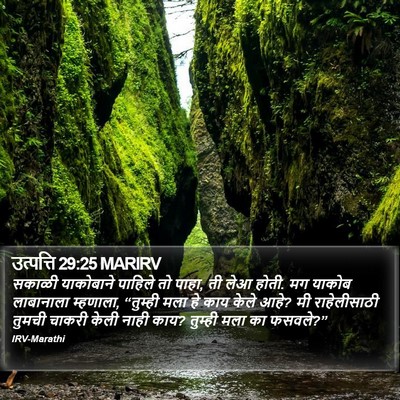 उत्पत्ति 29:25 MARIRV Bible Verse Image