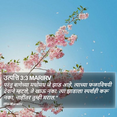 उत्पत्ति 3:3 MARIRV Bible Verse Image
