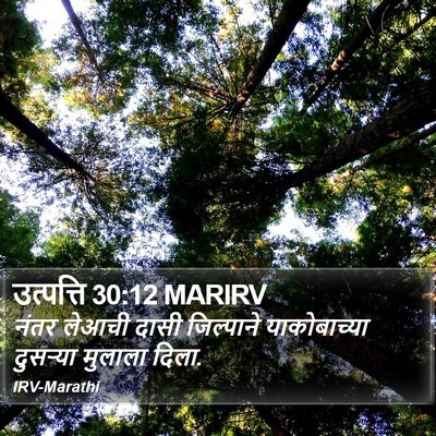 उत्पत्ति 30:12 MARIRV Bible Verse Image