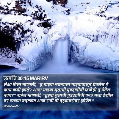 उत्पत्ति 30:15 MARIRV Bible Verse Image