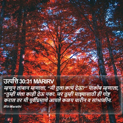 उत्पत्ति 30:31 MARIRV Bible Verse Image