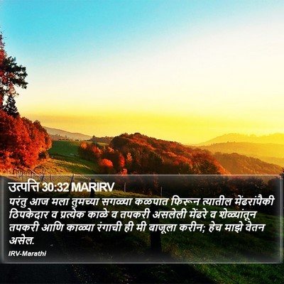 उत्पत्ति 30:32 MARIRV Bible Verse Image