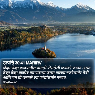 उत्पत्ति 30:41 MARIRV Bible Verse Image