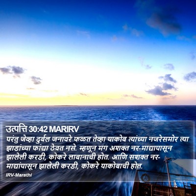 उत्पत्ति 30:42 MARIRV Bible Verse Image