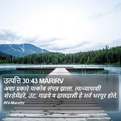उत्पत्ति 30:43 MARIRV Bible Verse Image