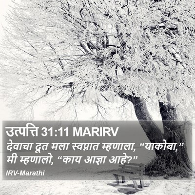 उत्पत्ति 31:11 MARIRV Bible Verse Image