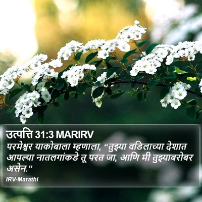 उत्पत्ति 31:3 MARIRV Bible Verse Image