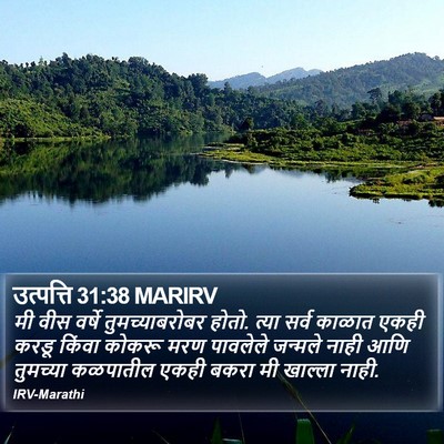 उत्पत्ति 31:38 MARIRV Bible Verse Image
