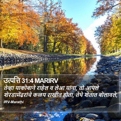 उत्पत्ति 31:4 MARIRV Bible Verse Image