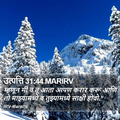 उत्पत्ति 31:44 MARIRV Bible Verse Image