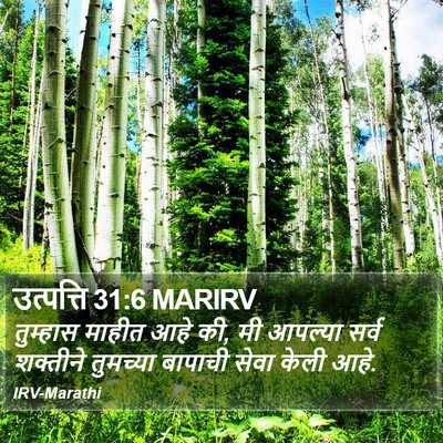 उत्पत्ति 31:6 MARIRV Bible Verse Image
