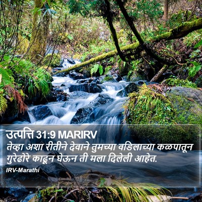उत्पत्ति 31:9 MARIRV Bible Verse Image