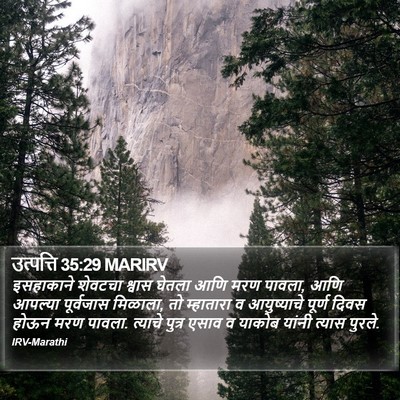 उत्पत्ति 35:29 MARIRV Bible Verse Image