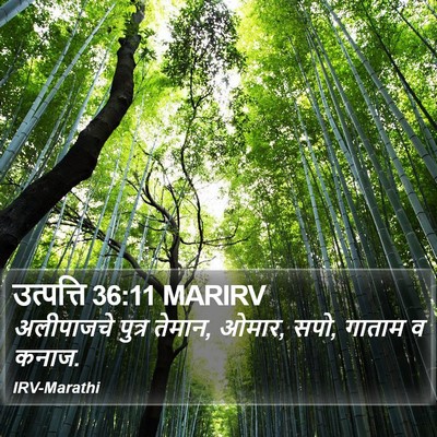 उत्पत्ति 36:11 MARIRV Bible Verse Image