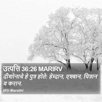 उत्पत्ति 36:26 MARIRV Bible Verse Image